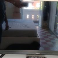 TV  32 pollici