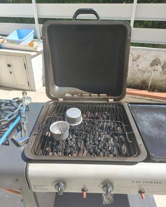 Barbecue da giardino