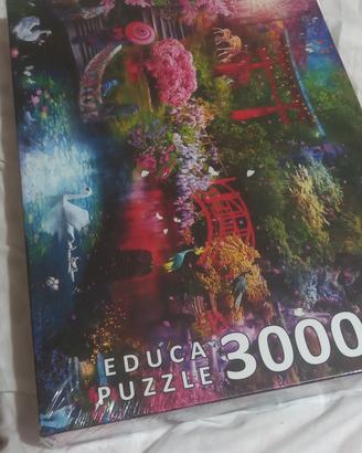 Puzzle 3000 pezzi