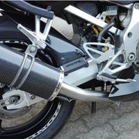 Power Carbon Roadsitalia Honda CBR 600 F 2001-2007