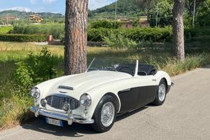 Austin Healey 100/6 BN4 2700 ASI