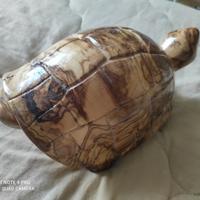 Scultura tartaruga in legno