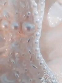 Abito da sposa pizzo francese e tulle