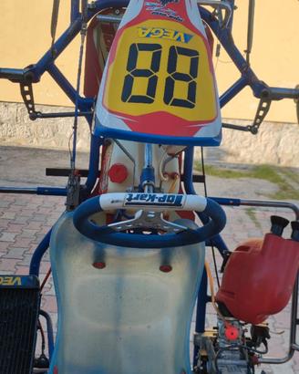 Kart Top kart 100cc TM K11