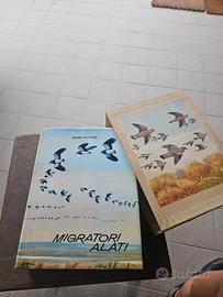 migratori alati 