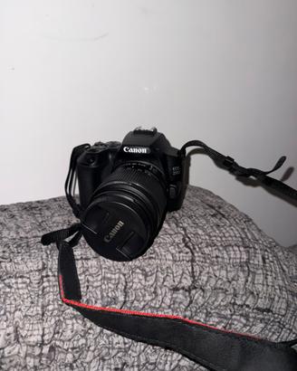 Canon EOS 250D + obiettivo 18-55mm + SD 64GB
