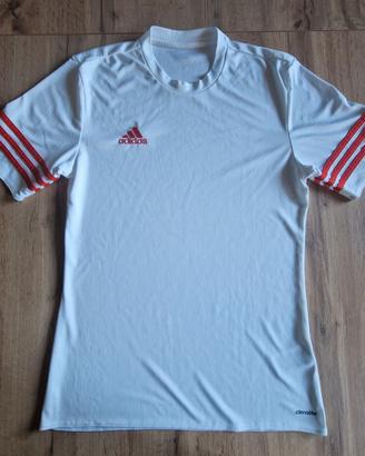 Maglia Adidas Climalite ragazzo bianca + pantalonc