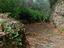 Immagine 24