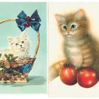 LOTTO N. 5 CARTOLINE CON GATTI – VINTAGE