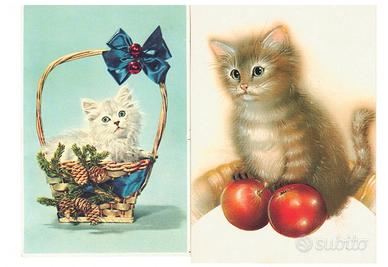 LOTTO N. 5 CARTOLINE CON GATTI – VINTAGE