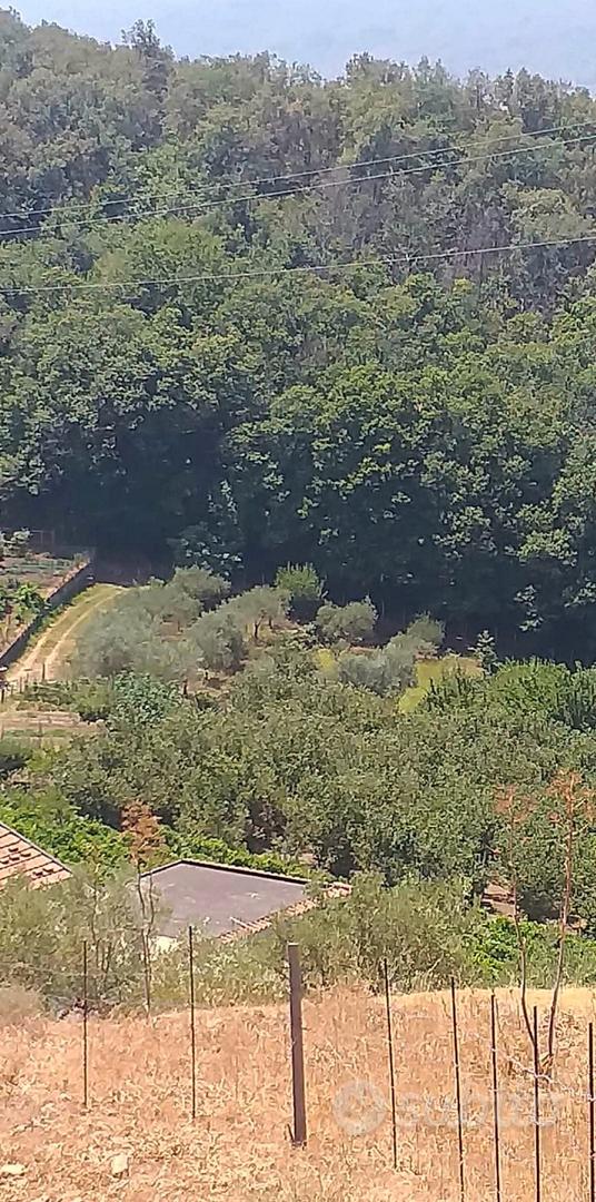 Terreno con fabbricato a Linguaglossa - Vista 4