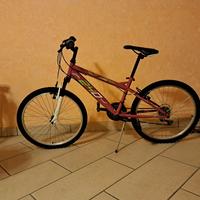 Mountain Bike con marce nuova