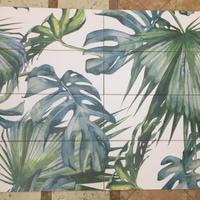 Vernissage Tropicana 25x60 Idea Ceramica