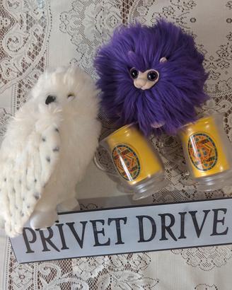 Collezione Harry Potter 