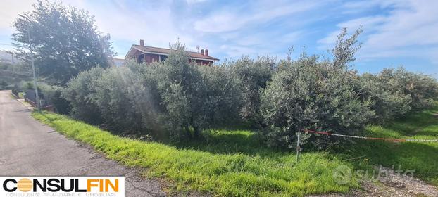 Terreno a frascati vicolo delle cisternole