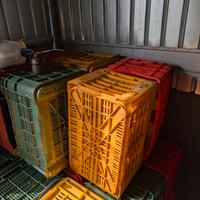 cassette in plastica 