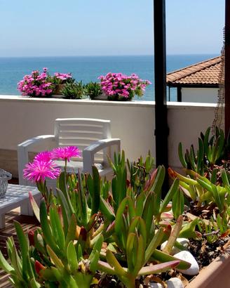 Fronte mare app.in villa a 2 passi dalla spiaggia