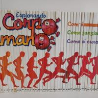 collezione libri "Esplorando il Corpo umano"