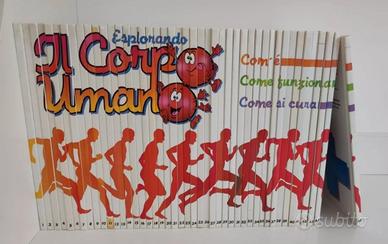 collezione libri "Esplorando il Corpo umano"