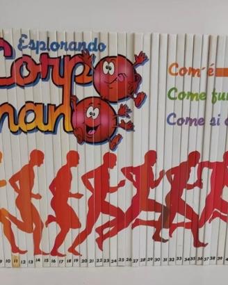 collezione libri "Esplorando il Corpo umano"