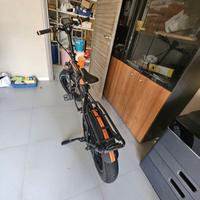 Bici elettrica Armony Assopro