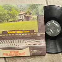 disco musicale in vinile