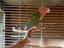 Immagine 2
