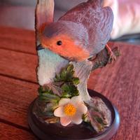 country Bird collection Vogelwelt 