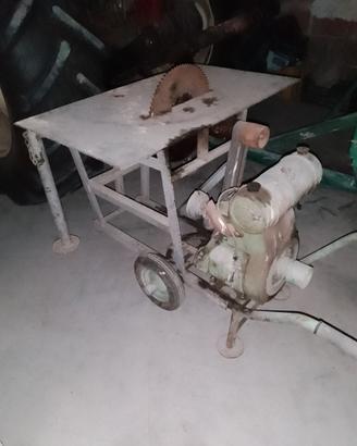sega taglia legna a motore