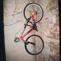 MtB Rock Machine ruota da 24"