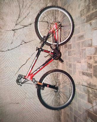 MtB Rock Machine ruota da 24"