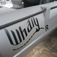 Whaly 500 R Professional Open