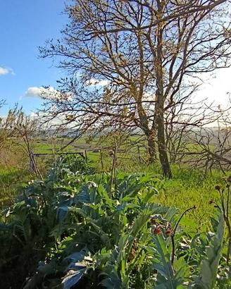 Villa di 144 m² con 4 locali e box auto doppio a A