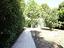 Immagine 19