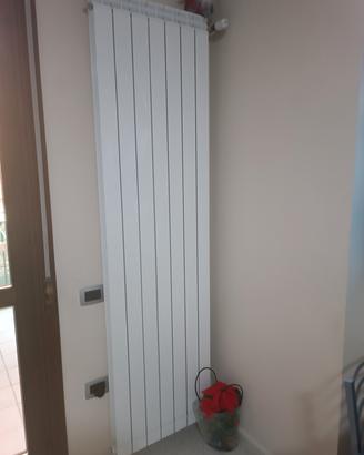 radiatore 