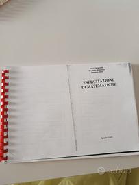 Esercitazioni matematiche Catania 