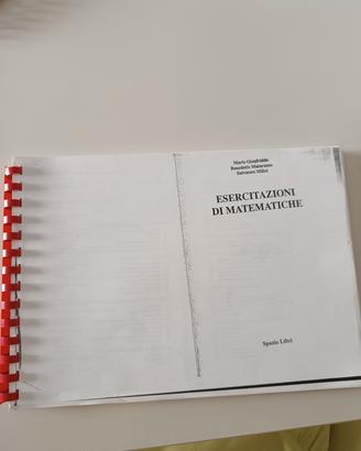 Esercitazioni matematiche Catania 