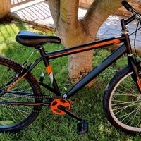 Bici 24