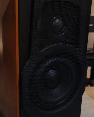 coppia di diffusori audio i
