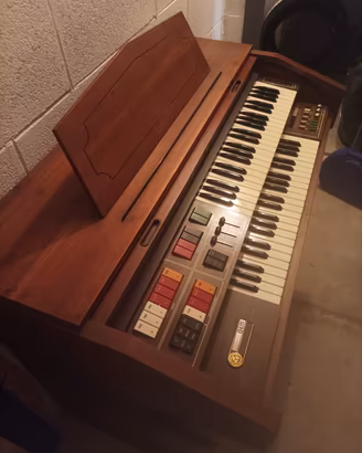 organo elettrico 