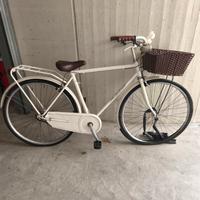 bicicletta Alpina con cestino 