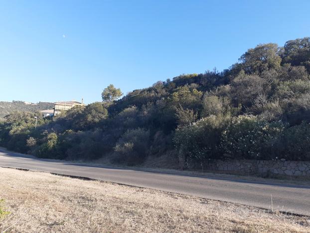 Poggio dei pini terreno panoramico 1200 mq