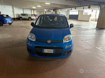 fiat panda