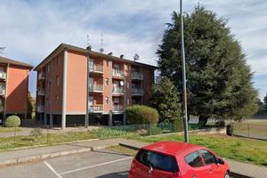 Stanza singola in appartamento condiviso