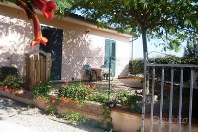 Bolgheri, Castagneto Ccci, spiagge, pinete, giardi