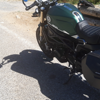 Benelli leoncino 800