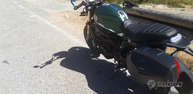 Benelli leoncino 800