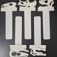 Collezione 5 segnalibri a forma teschi dinosauri
