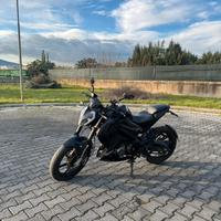 keeway rkf 125 targa polacca