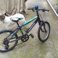 bici da ragazzo 